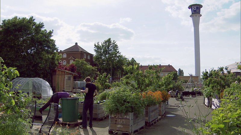 Auf einer Industriebrache, dem Parkplatz des ehemaligen Versandhauses Quelle, gärtnern etwa 50 Nürnberger in ihrer Freizeit – in Hochbeeten und auf Asphalt. – Bild: BR