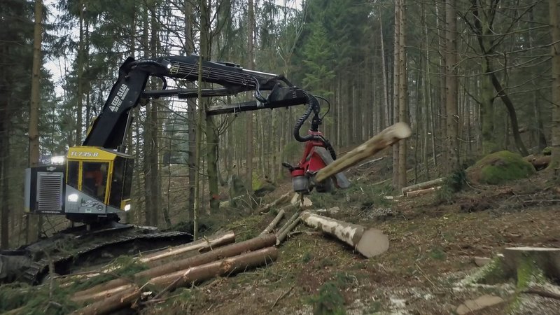 Die schwierigen Einsatzorte der Holzspezialisten sind oft in riskanten Lagen, steilem Gelände, Schluchten und schmalen Tälern. – Bild: N24 Doku