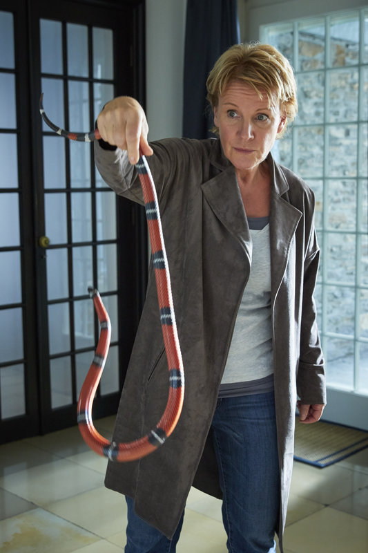 Marie Brand Und Die Spur Der Angst Marie Brand Und Die Spur Der Angst