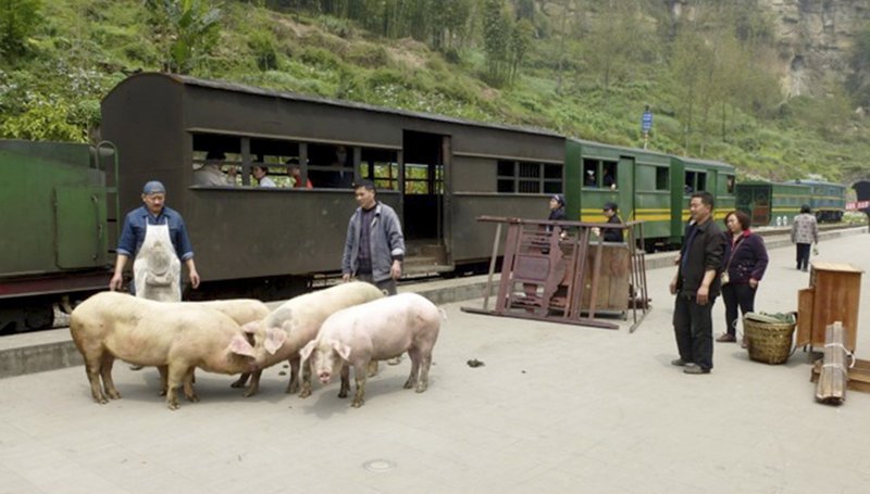 Menschen, Möbel, Mastvieh – alles muss mit der kleinen Bahn von Sezuan transportiert werden, denn Straßen gibt es nicht. – Bild: WDR/​NDR