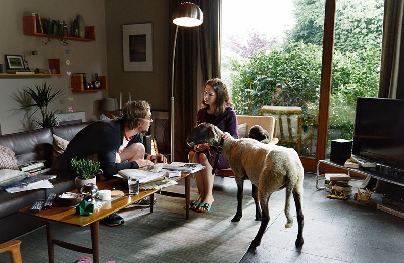 Die Blumen von gestern – Bild: One