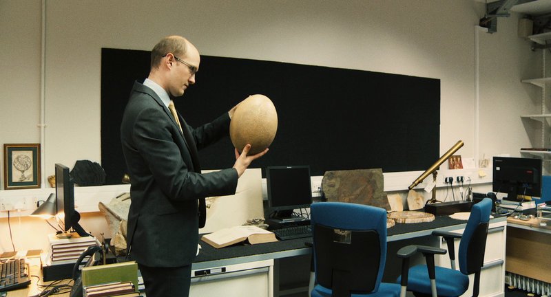 Der Spezialist James Hyslop vom Auktionshaus Christie’s in London begutachtet ein Ei des ausgestorbenen Elefantenvogels Aepyornis Maximus. – Bild: ZDF und Hajo Schomerus