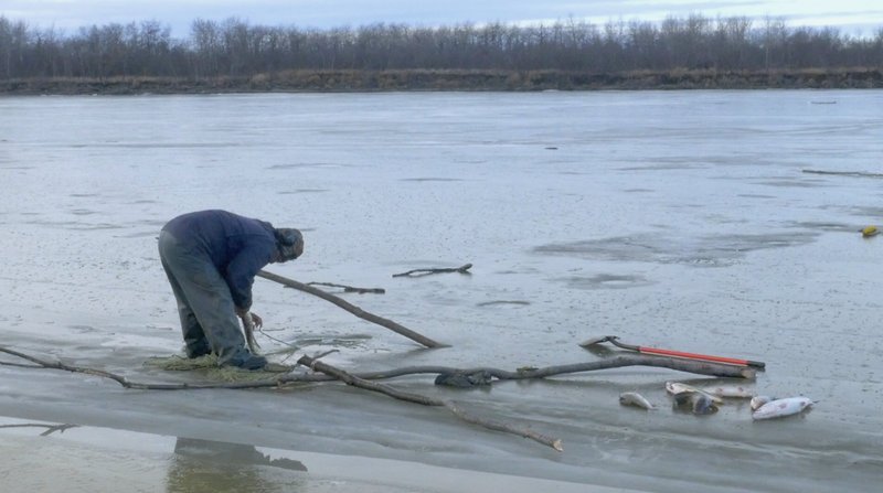 SW-Alaska, Mitte November. Der Fluss sollte mit einer dicken Eisschicht bedeckt sein, doch das Eis trägt kaum. – Bild: ZDF und Trakovsky Film LLC