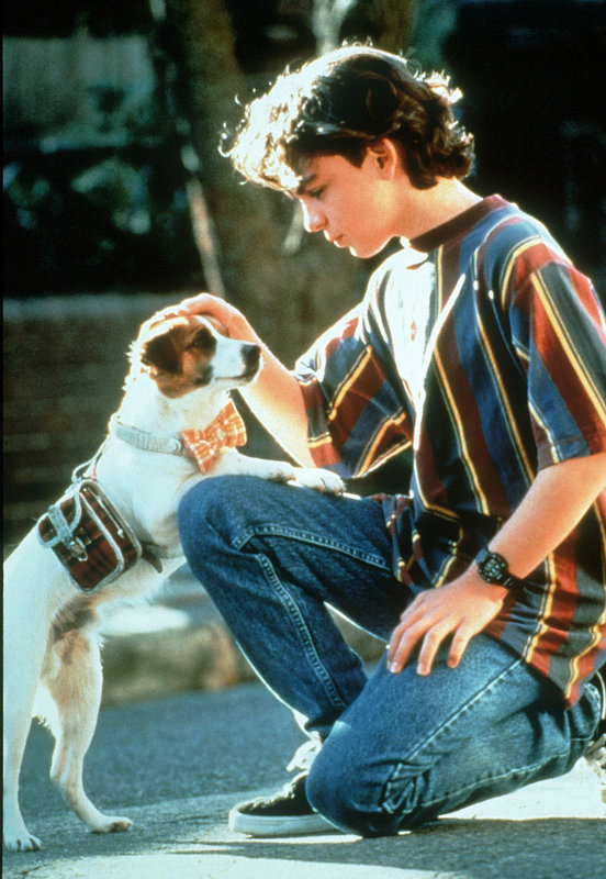 P.C. - Ein Genie auf vier Pfoten – Bild: RTL Zwei