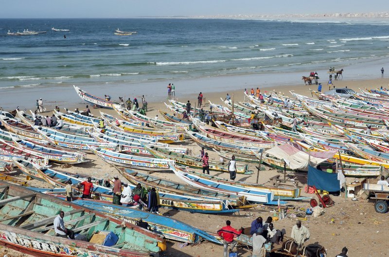 Fischmarkt im Viertel Yoff, der größte in Dakar – Bild: BR/​SWR/​Rolf Lambert