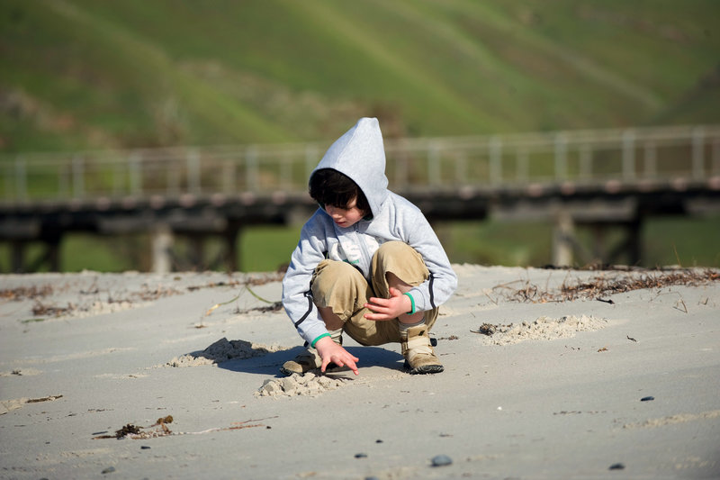 The Boys Are Back - Zurück ins Leben – Bild: ARTE France /​ © Miramax Films/​Matt Nettheim