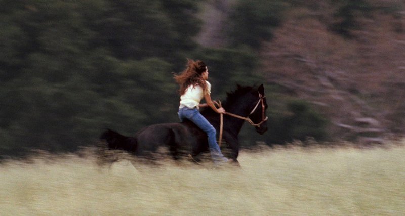 Pferdenärrin Katy (Alison Lohman) genießt die Freiheit am liebsten auf dem Rücken der Pferde. – Bild: SUPER RTL