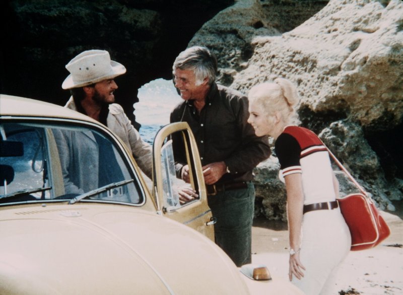 Ein Käfer gibt Vollgas – Bild: Lizenzbild frei