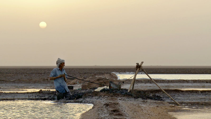 My Name is Salt – Bild: Planet