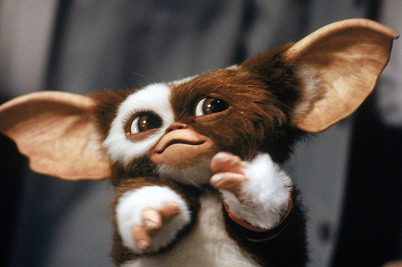 Wenn der liebenswerte Mogwai Gizmo mit Wasser in Berührung kommt, ist äußerste Vorsicht geboten. – Bild: ARTE France / © Warner Bros. Wenn der liebenswerte Mogwai Gizmo mit Wasser in Berührung kommt, ist äußerste Vorsicht geboten. – Bild: ARTE France / © Warner Bros.