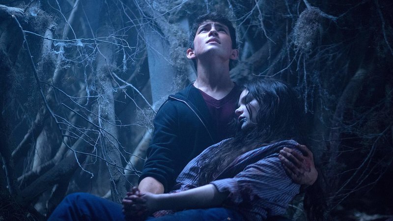 Im Auge Des Wolfes Staffel 2