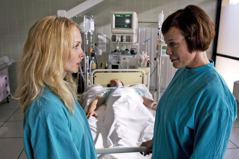 Die Bienen - Tödliche Bedrohung – Bild: Sat.1 Eigenproduktionsbild frei