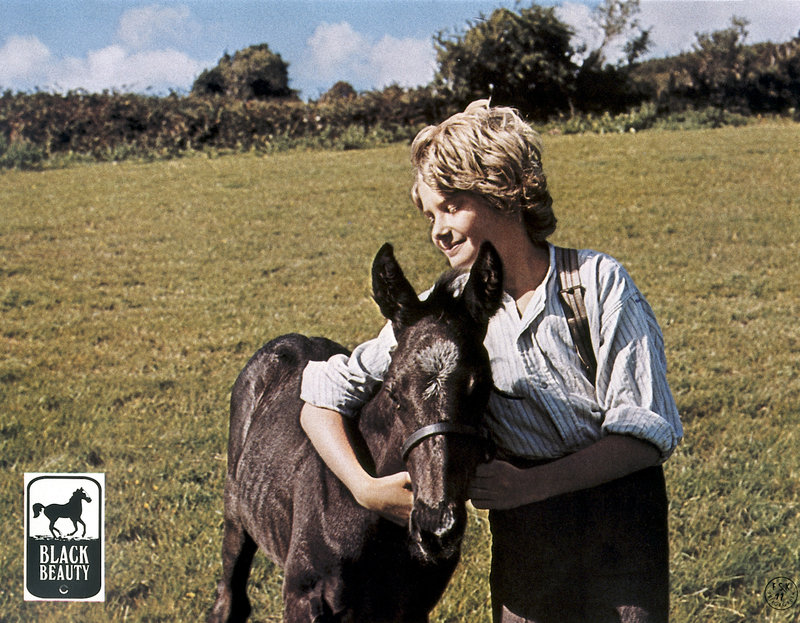 Black Beauty – Bild: ZDF und CCC Filmkunst