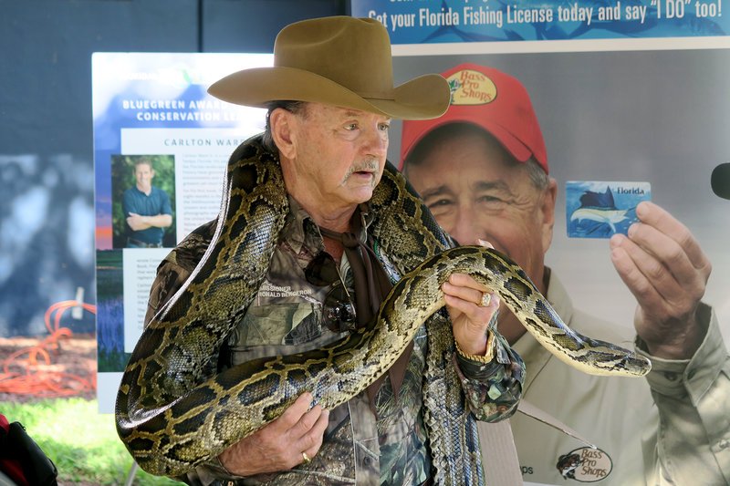 Bei der sogenannten Python Challenge dürfen einen Monat lang Tigerpythons im Everglades Nationalpark gejagt werden. Über 1.000 Jäger aus den ganzen USA nehmen teil. – Bild: ARTE /​ © MedienKontor/​Gordian Arneth
