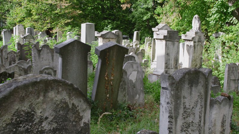 Jüdischer Friedhof Währing. – Bild: Cinevision Jüdischer Friedhof Währing. – Bild: Cinevision