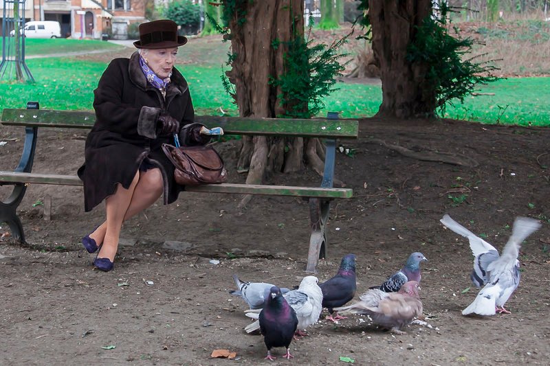 Bevor Clémence (Line Renaud) das Gift einnimmt, testet sie dessen Wirkung an Tauben im Park. – Bild: ARTE France /​ © Lény Stora