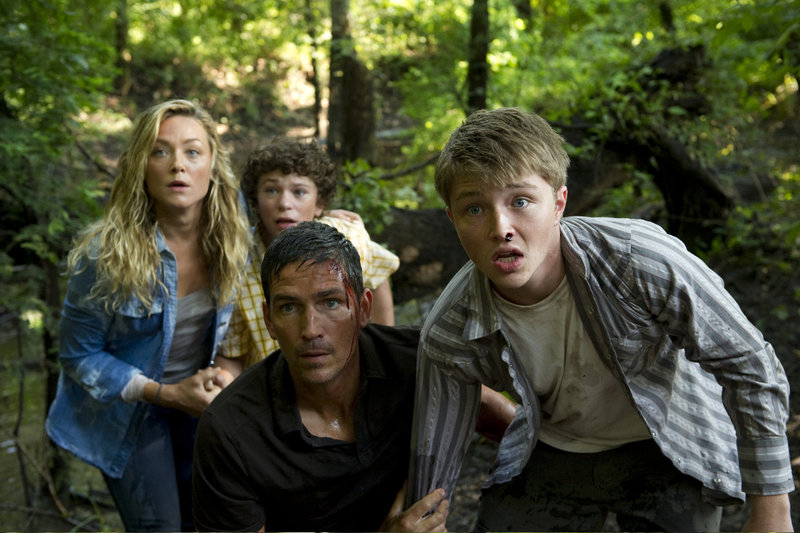 Transit – Bild: TV Puls