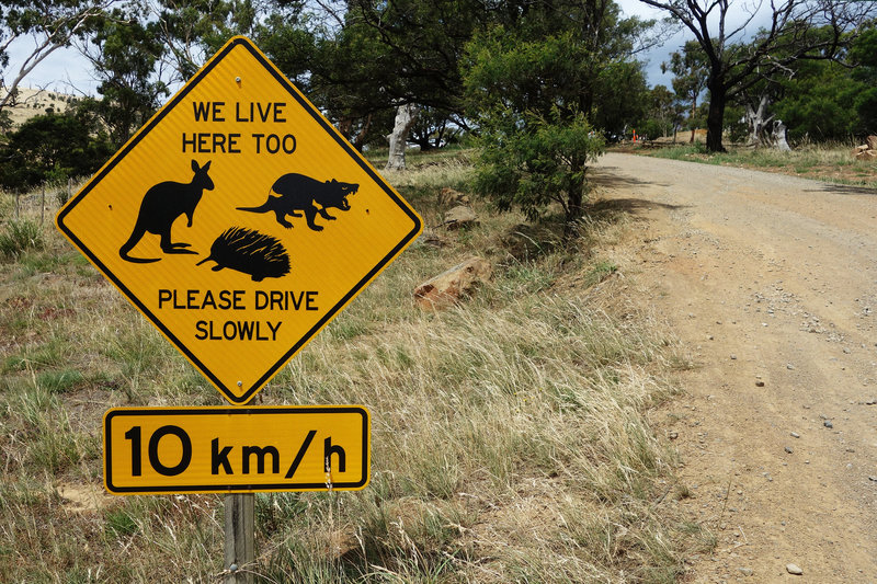 Tasmanien - Australiens größte Insel – Bild: SRF2