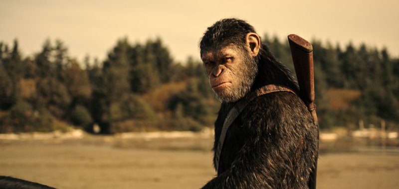 Planet der Affen: Survival – Bild: Puls 4
