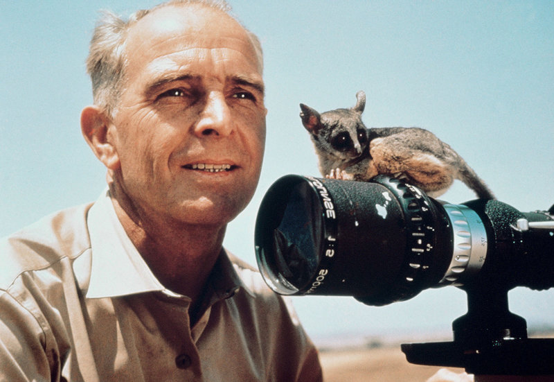 Kein Platz für wilde Tiere – Bild: MDR/​Degeto