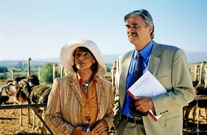 Einmal so wie ich will – Bild: ORF