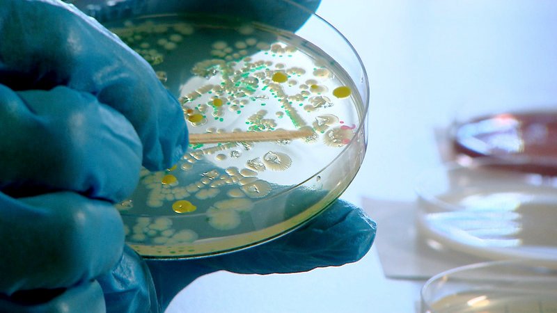 Allein in Deutschland werden 1.700 Tonnen Antibiotika in der industriellen Tierzucht eingesetzt. – Bild: NDR /​ © NDR/​Thurn Film