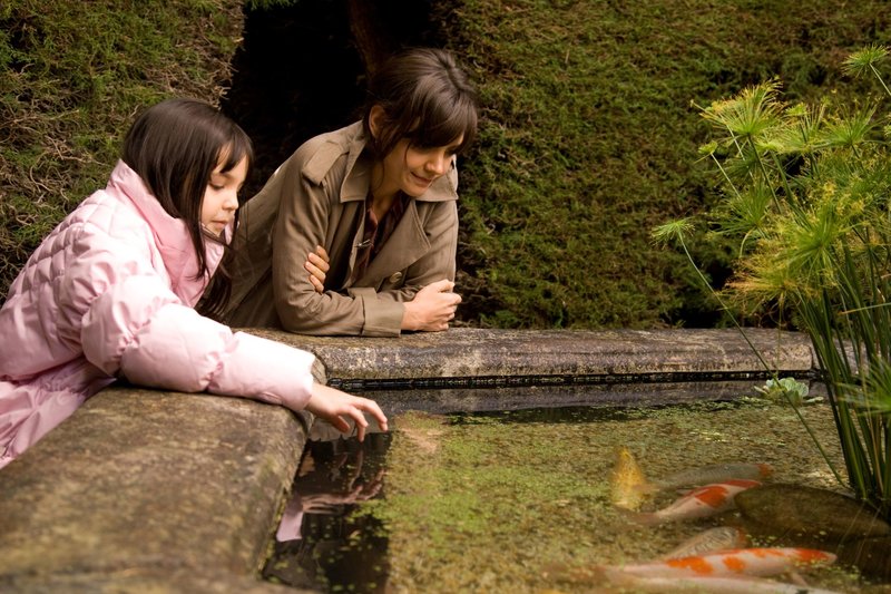 Don't Be Afraid of the Dark – Bild: Miramax Film Corp.  All Rights Reserved.