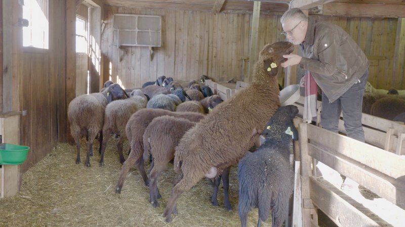 Josef Schett lebt im Villgratental. Er übt ein traditionelles Handwerk aus, was ihn international bekannt gemacht hat: Er verarbeitet Schafwolle. – Bild: ZDF und Nik Winter./Nik Winter Josef Schett lebt im Villgratental. Er übt ein traditionelles Handwerk aus, was ihn international bekannt gemacht hat: Er verarbeitet Schafwolle. – Bild: ZDF und Nik Winter./Nik Winter