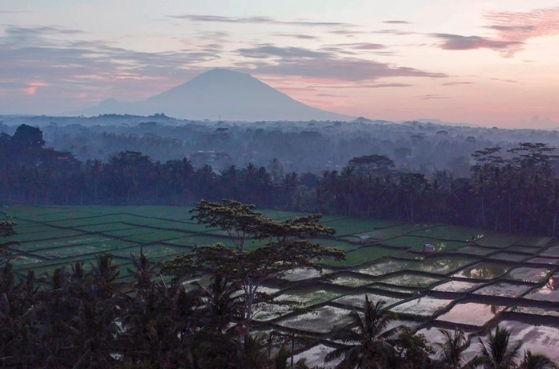 Bali ist bekannt für seine Reisfelder und Vulkane. – Bild: Christopher Dürkop/​kornkonzept /​ Bali ist bekannt für seine Reisfelder und Vulkane.
