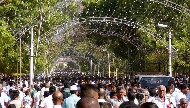 Sri Lanka - Die leuchtende Insel – Bild: NDR/​TERRA MATER/​Sebastian Grübl