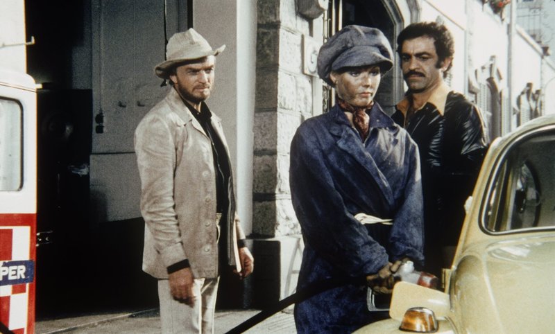 Ein Käfer auf Extratour – Bild: Lizenzbild frei