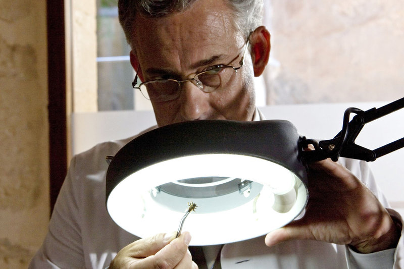 Die Bienen - Tödliche Bedrohung – Bild: Sat.1 Eigenproduktionsbild frei