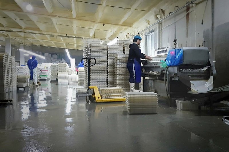 Nordkoreanische Zwangsarbeiter werden vom Regime in alle Welt geschickt, um Devisen zu erwirtschaften – wie hier in einer Lebensmittelfabrik in China. – Bild: ZDF /​ © a-und-o