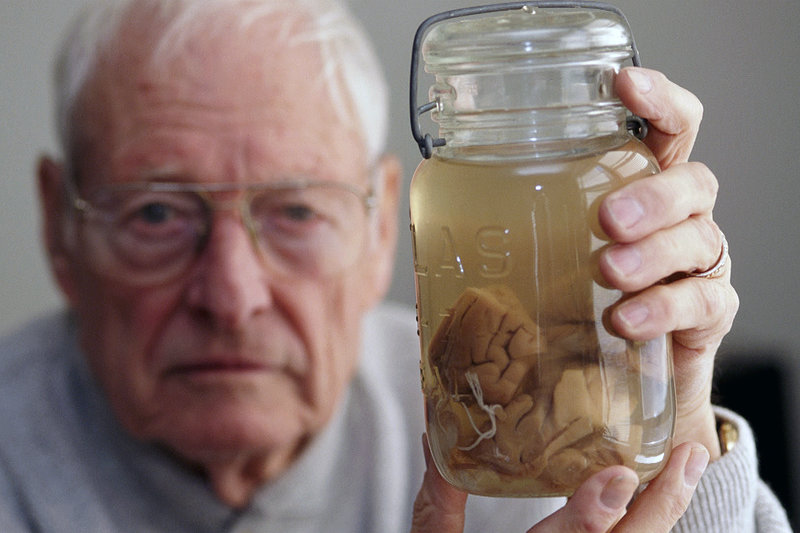 Das Rätsel unserer Intelligenz – Bild: arte