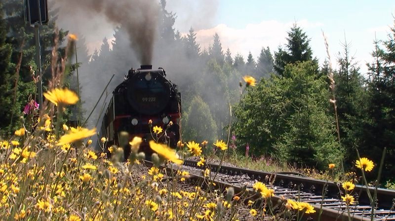 Die Brockenbahn führt knapp 20 Kilometer durch den Harz auf den Brocken. – Bild: HR Die Brockenbahn führt knapp 20 Kilometer durch den Harz auf den Brocken. – Bild: HR