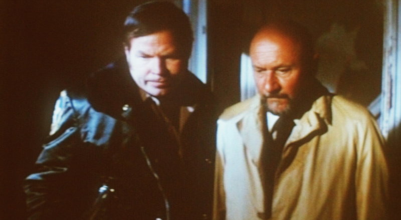 Halloween - Die Nacht des Grauens – Bild: Kabel Eins