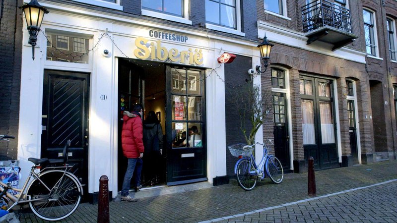 In Amsterdam möchte sich Reporter Max Williams in einem Coffeeshop ganz legal etwas Gras kaufenIn Amsterdam mĂ¶chte sich Reporter Max Williams in einem Coffeeshop ganz legal etwas Gras kaufen – Bild: RTL Zwei