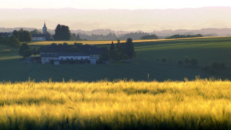 Landschaft. – Bild: ORF