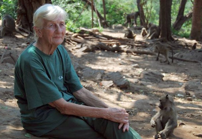MDR Fernsehen AFFENTHEATER – PAVIANE IN SÜDAFRIKA, am Sonntag (02.06.13) um 10:15 Uhr. Rita Miljo, die 83-jährige Deutsche, die sich seit 50 Jahren um verletzte und verwaiste Paviane am Rande des Kruger Nationalparks kümmert. – Bild: MDR/​BR/​Sofie Linke