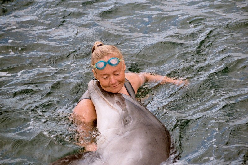 Ute Margreff und das Delfinweibchen Mara begrüßen sich jeden Tag aufs Neue mit einem ausführlichen Ritual aus Streicheleinheiten und Massagen. Das stärkt das Vertrauensverhältnis zwischen Mensch und Tier. – Bild: NDR /​ © NDR/​Ute Margreff