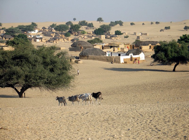 Das Dorf Daw in der Wüste Thar – Bild: HR /​ © HR/​Peter Weinert