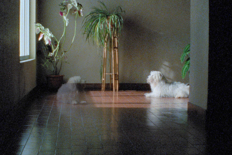 1001 Nacht: Volume 2: Der Verzweifelte – Bild: ZDF
