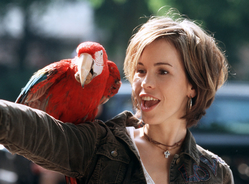 Mann gesucht, Liebe gefunden – Bild: SWR/​ARD/​Degeto/​Thorsten Jander