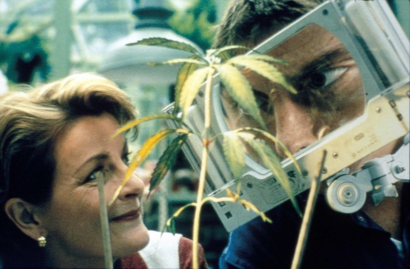 Grasgeflüster – Bild: Studiocanal GmbH