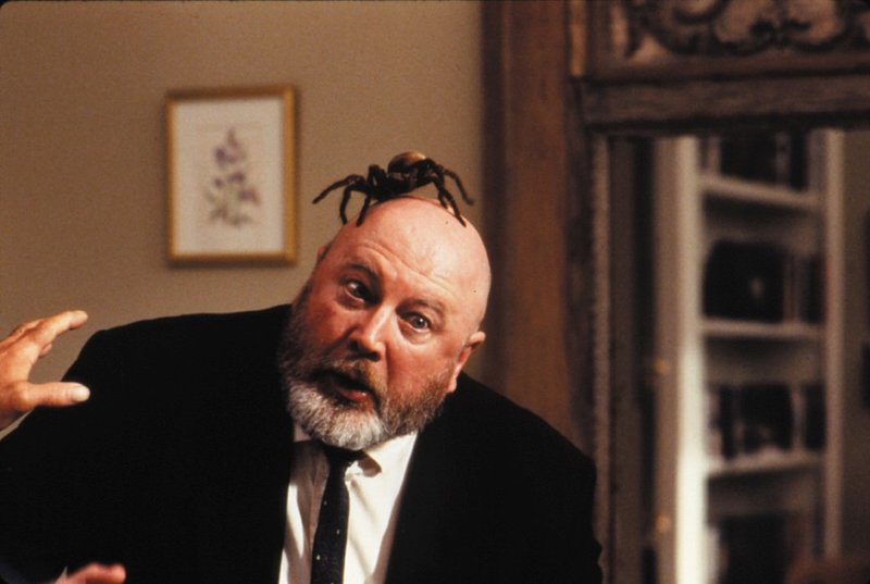 Aus dem Dschungel in den Dschungel – Bild: VOX /​ Walt Disney Pictures