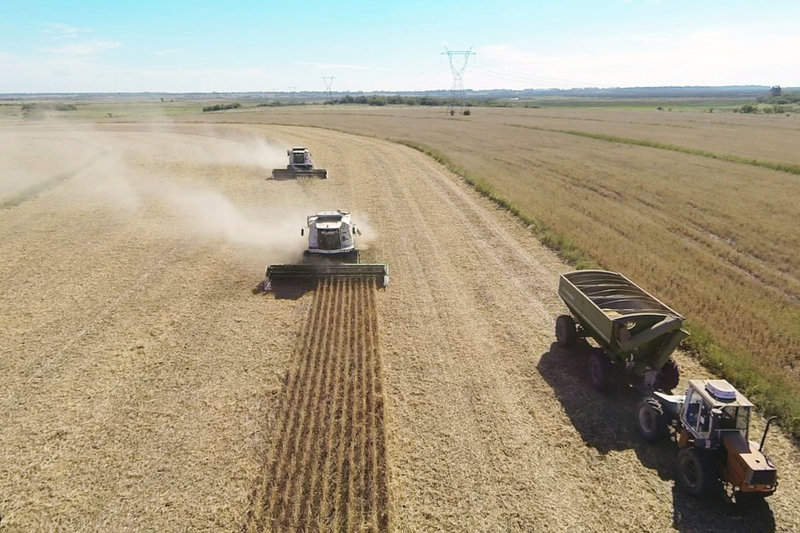 Vorsicht Gentechnik? – Bild: ARTE France /​ © La Compagnie des Taxi-Brousse