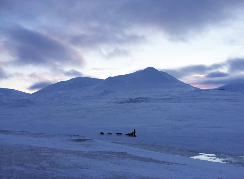 Hundeschlitten in Spitzbergen. – Bild: SWR/Dirk Schrader Hundeschlitten in Spitzbergen. – Bild: SWR/Dirk Schrader