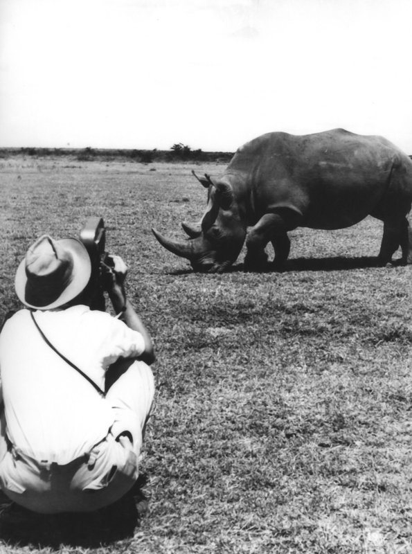 Kein Platz für wilde Tiere – Bild: ARD Degeto