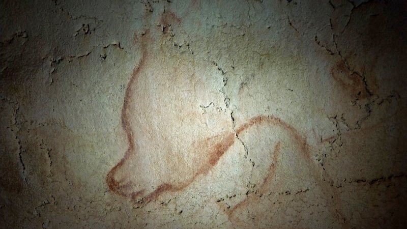 In der Grotte Chauvet sind auf mehr als Tausend Höhlenzeichnungen Tiere in freier Wildbahn dargestellt. – Bild: ARTE France /​ © Quark Productions