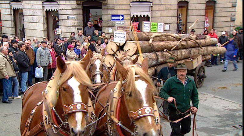 Kaltblüter-Zug von Herbert Weingärtner. Weiteres Bildmaterial finden Sie unter www.br-foto.de. – Bild: BR/​Thomas Heer